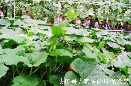 身材|女性养生此菜可多吃，皮肤细腻光滑，皱纹淡了，身材越来越苗条