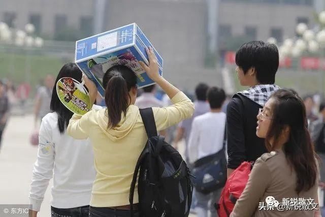 珍珠 挫折就像珍珠里的沙砾,与其对挫折念念不忘,不如着眼于珍珠本身