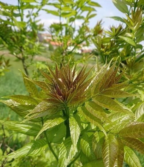 好處|女性到了中年推薦常吃3種食物,排毒養(yǎng)顏,營養(yǎng)瘦身,好處多多