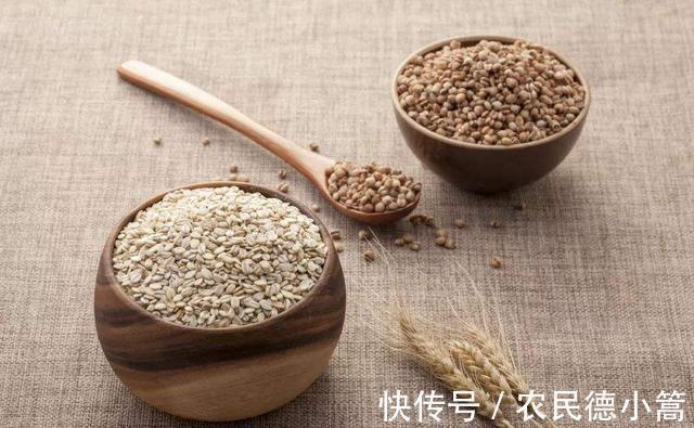 薏苡仁粥|晚餐不吃会饿，吃了又怕长胖，若想减肥瘦身，以下5种食物可多吃