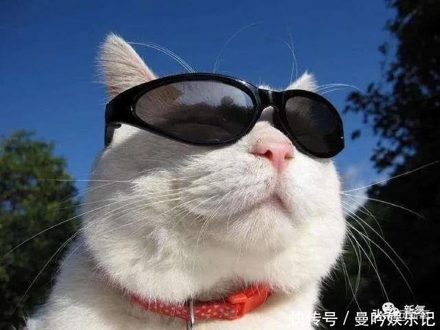 半个娱乐圈女明星脸上都有的这个坑，真的是线雕的锅吗？