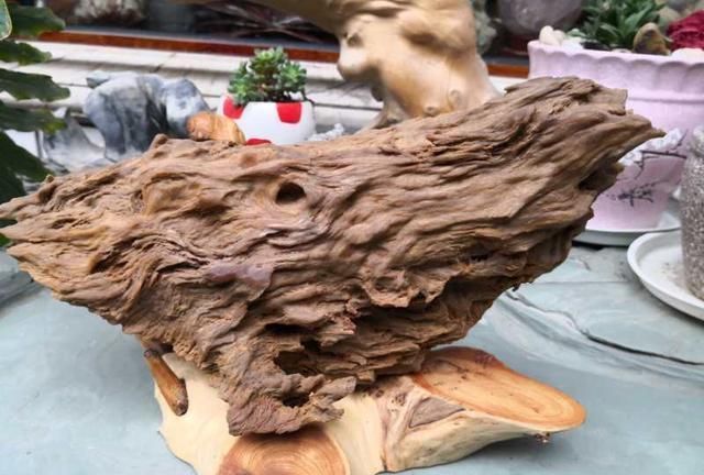 行云石居|一块像凤凰的树化玉,有个老板愿出五万购买