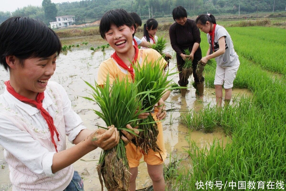 大中小学|调查显示：超过90%的人认为“劳动教育很有必要”