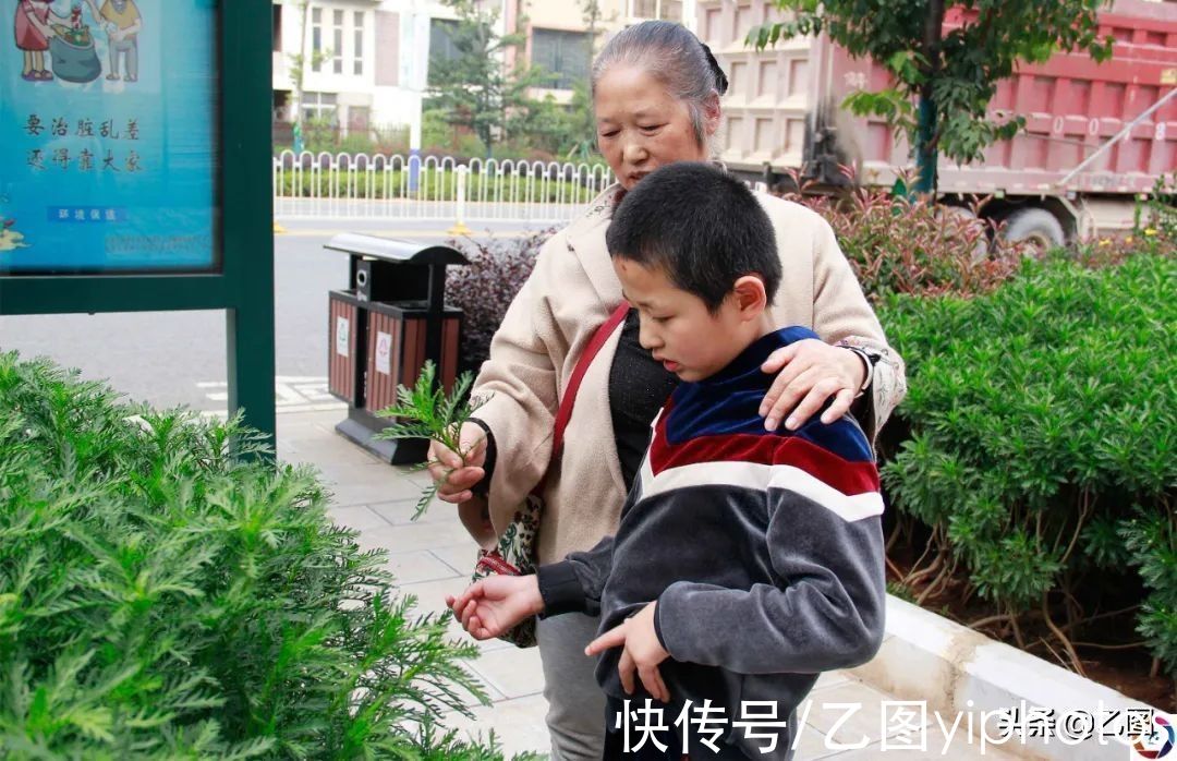 孙子|孩子出生时11斤，邻居觉得惊奇，奶奶乐开了花，谁知祸根悄悄埋下