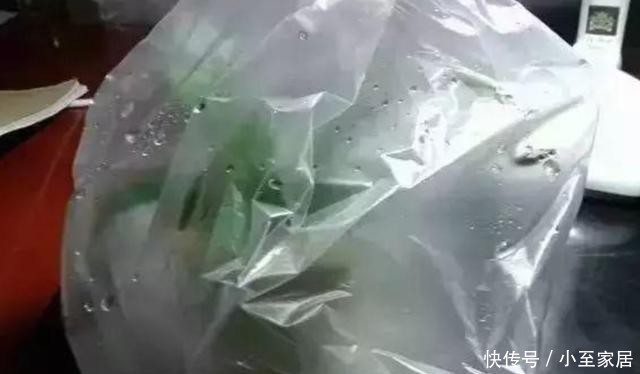 花盆|塑料袋用完先别扔,套在花盆上,用处多多!