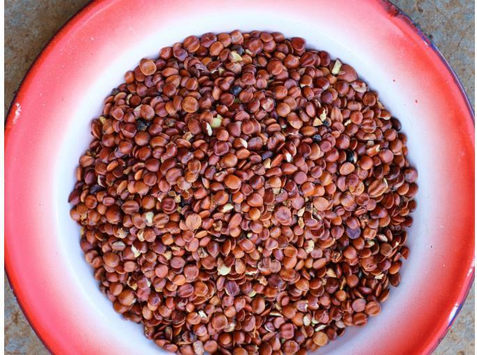 心陽|長夏養(yǎng)生心為重，堅持養(yǎng)心做好3件事，度過一夏天