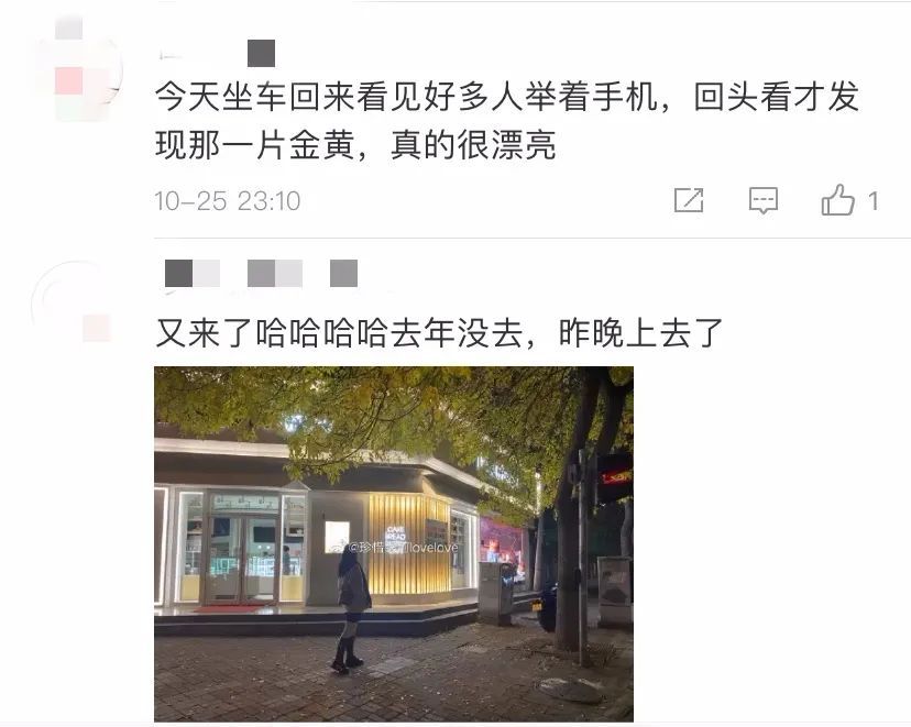 庄亲|@庄亲，又是深秋，再赴与一棵树的约会……