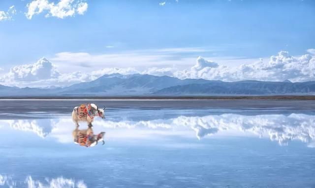 湖水面积|甘青旅游环线之-茶卡盐湖，天空之境