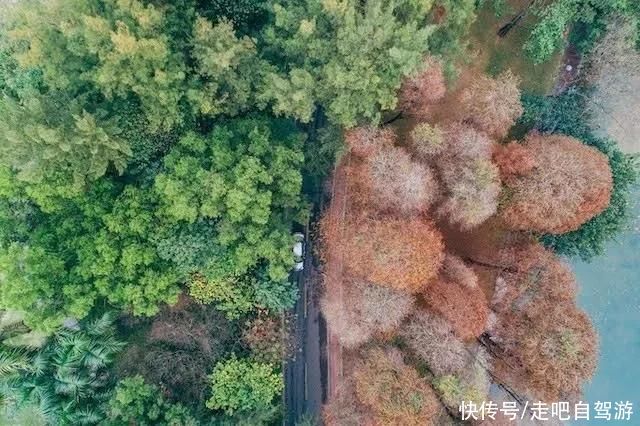 1月最佳旅行地推荐，真正最值得去的景点，人少景美千万别错过