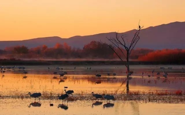 折槛|烟雨夜读 折槛朱云头未白