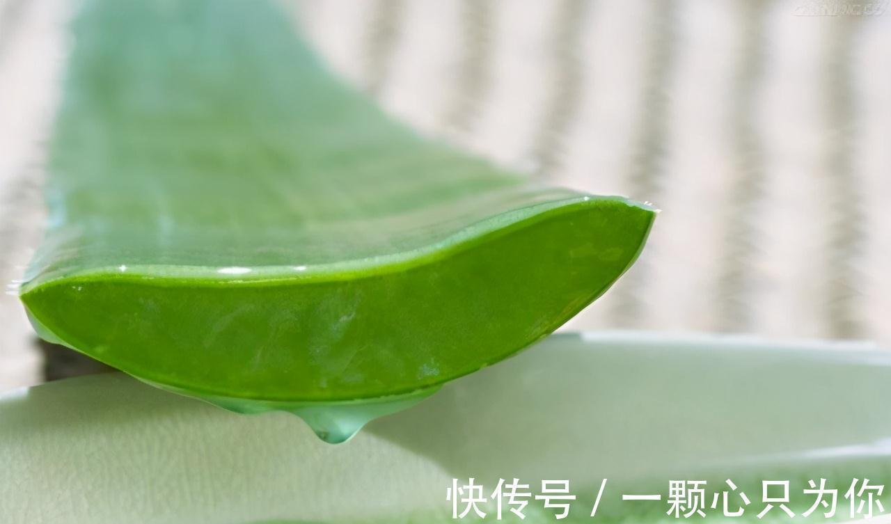 这3种花,虽然价格贵,但是养上几盆,身体健康又强壮