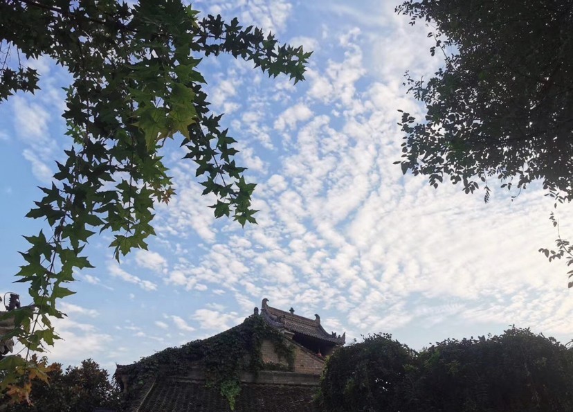  谋于|《战国策》成大功者不谋于众