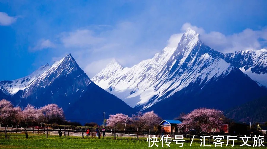 雪山|春天，让人憧憬的旅行目的地，莫过于去林芝看桃花！