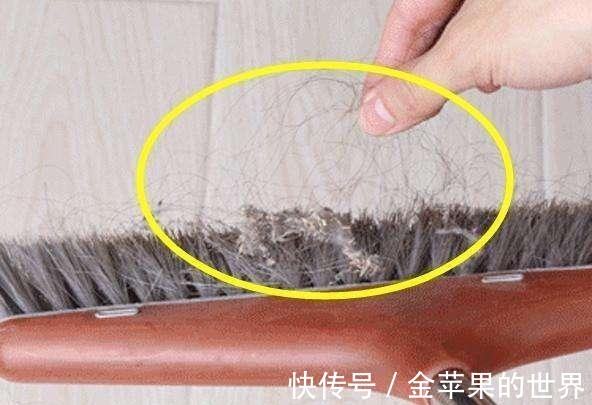 扫地机|屋里两三天没有打扫就会出现很多“毛毛”，这是怎么一回事！