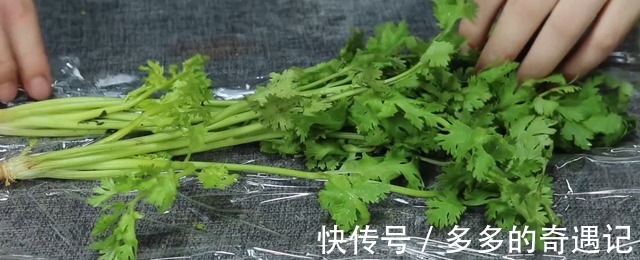 食用盐|保存香菜有诀窍,今天全教你,不烂叶不发黄,半年都新鲜,真实用!