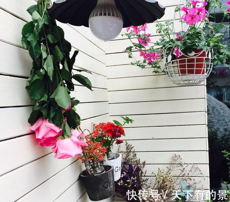 废水|不用这2种“水”浇花，夏季养花基本不出问题