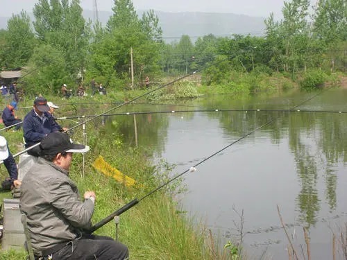 鲤鱼这钓法，我用了30年，每次渔获几十斤！