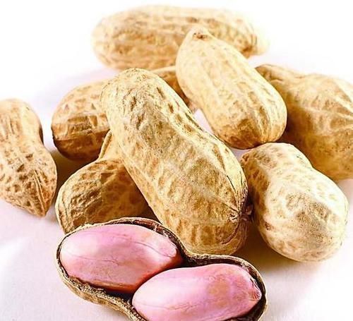 花生|每天吃5颗“生花生”,不到一个月,会收获3个好处,了解一下