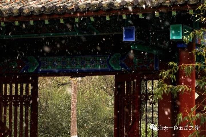 百脉泉|雪泉共舞，百脉氤氲：泉城第一场雪，百脉泉飞花穿庭，盛雪芳华