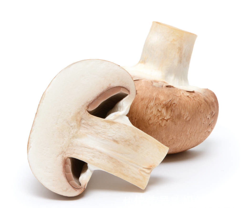 买香菇,挑大的还是小的?牢记“3买3不买”,谁也不敢忽悠你