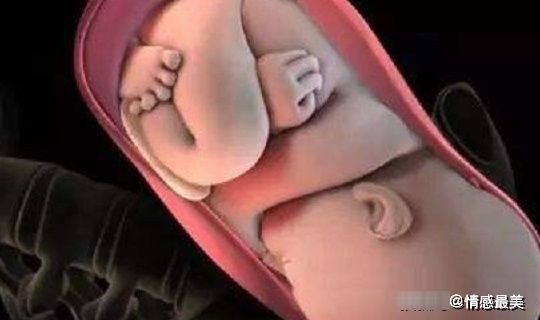 骨产道|自然分娩过程中，胎儿也在默默帮着妈妈，真的太暖心了！