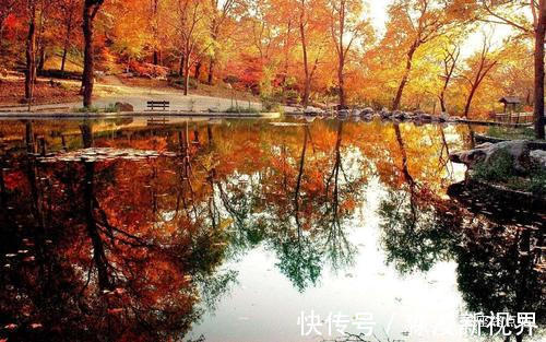 光宗耀祖|几月出生的孩子,聪明有才,长大后必定光宗耀祖,成就一番伟业