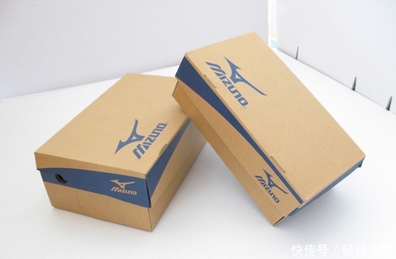 鞋盒原来也是养花一绝,能栽花种菜和沤肥,又省了好几百块钱!