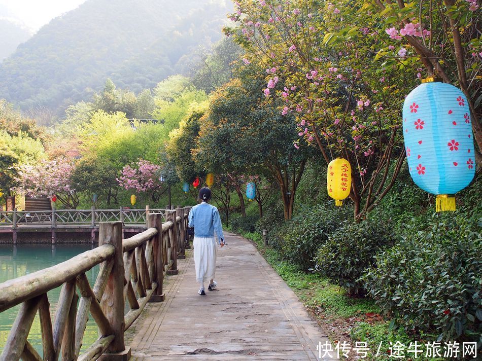 桐庐天子地，集樱花林、溶洞、湖泊峡谷的小众目的地，人少景美