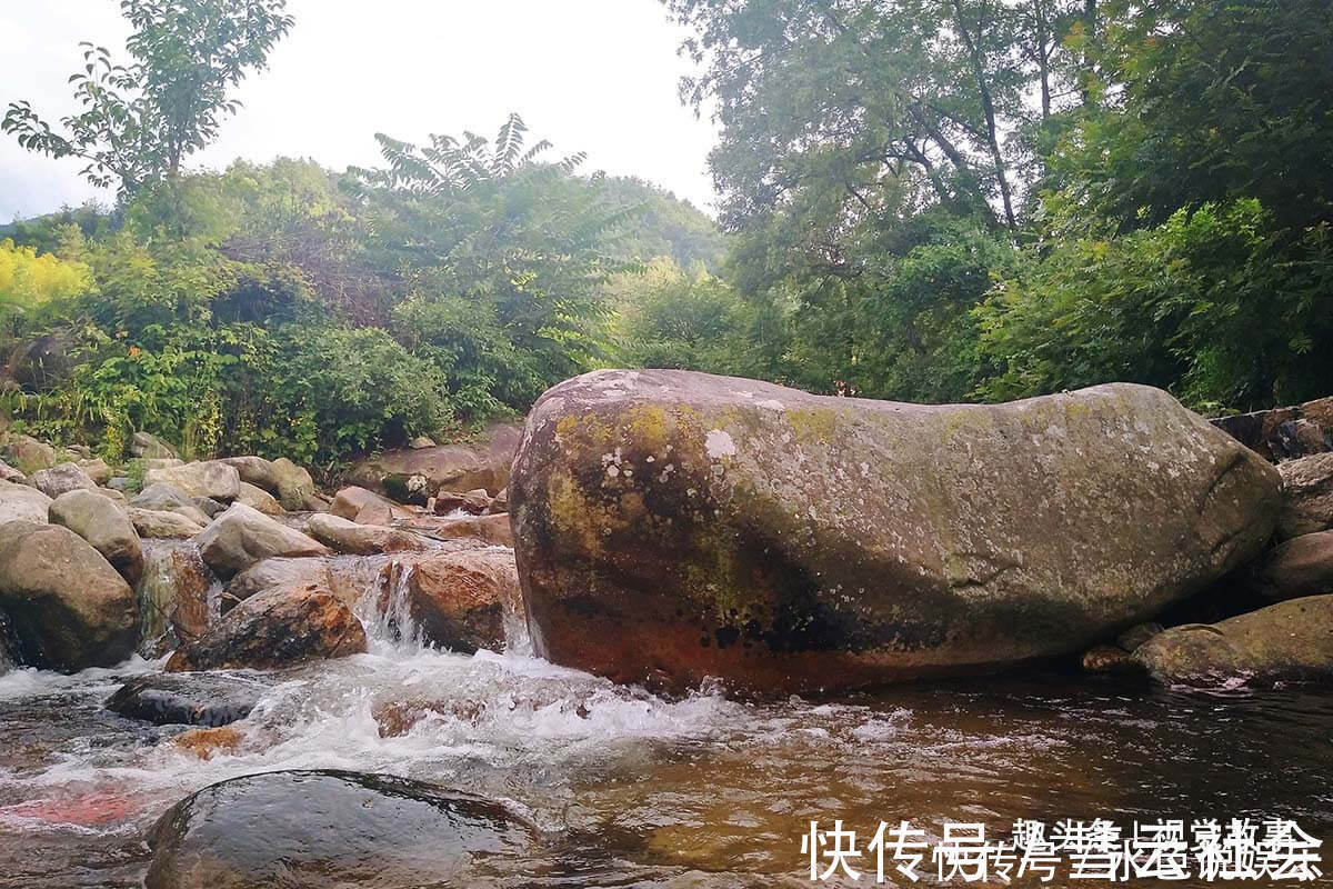 回家|山村楼房装修豪华,门前堆满柴火,2个儿子3年没回家