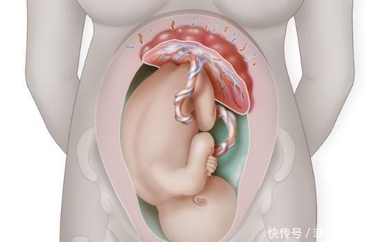 孕妇|孕晚期，孕妇有几种感受，说明胎儿已顺利入盆，附胎儿入盆图解