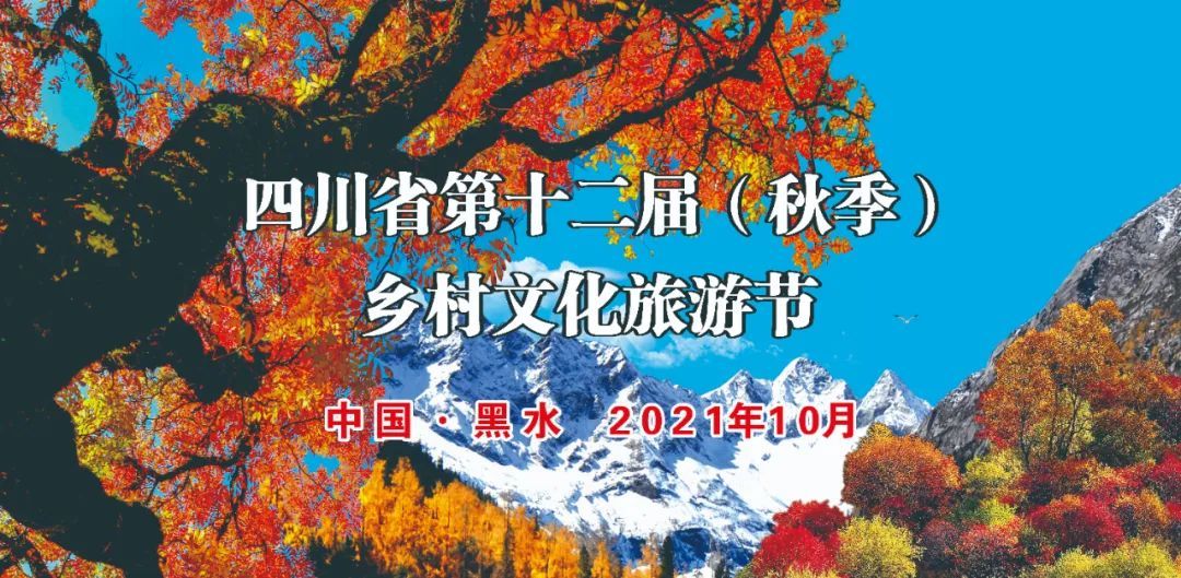 红叶|10月的阿坝，人间绝色！