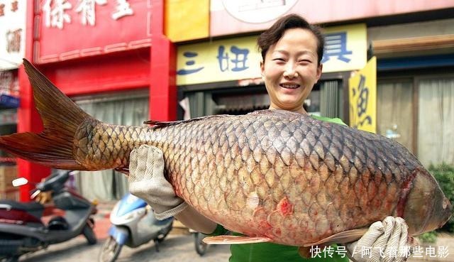 怎样规避小杂鱼看看这个超简单的饵料配方