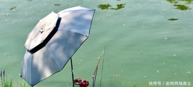 近岸|秋分前后钓鱼,想爆护一点都不难,老钓手都爱这样钓,你也可以