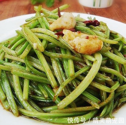 皇后|它可是蔬菜皇后,蛋白质比牛肉还高,才1元一斤,可别把它吃涨价
