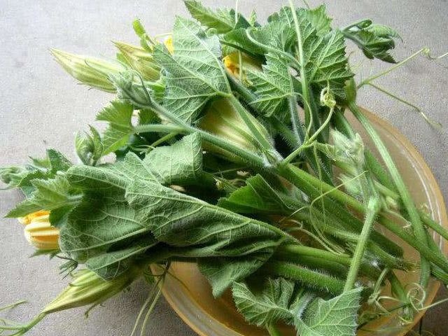 结石|小小一个南瓜藤方子，就能让得结石的人有所好转，后悔现在才知道