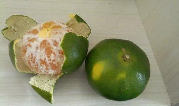 橘子皮|食盐加上橘子皮，喝一次能省下几百元，解决了男女的大难题！