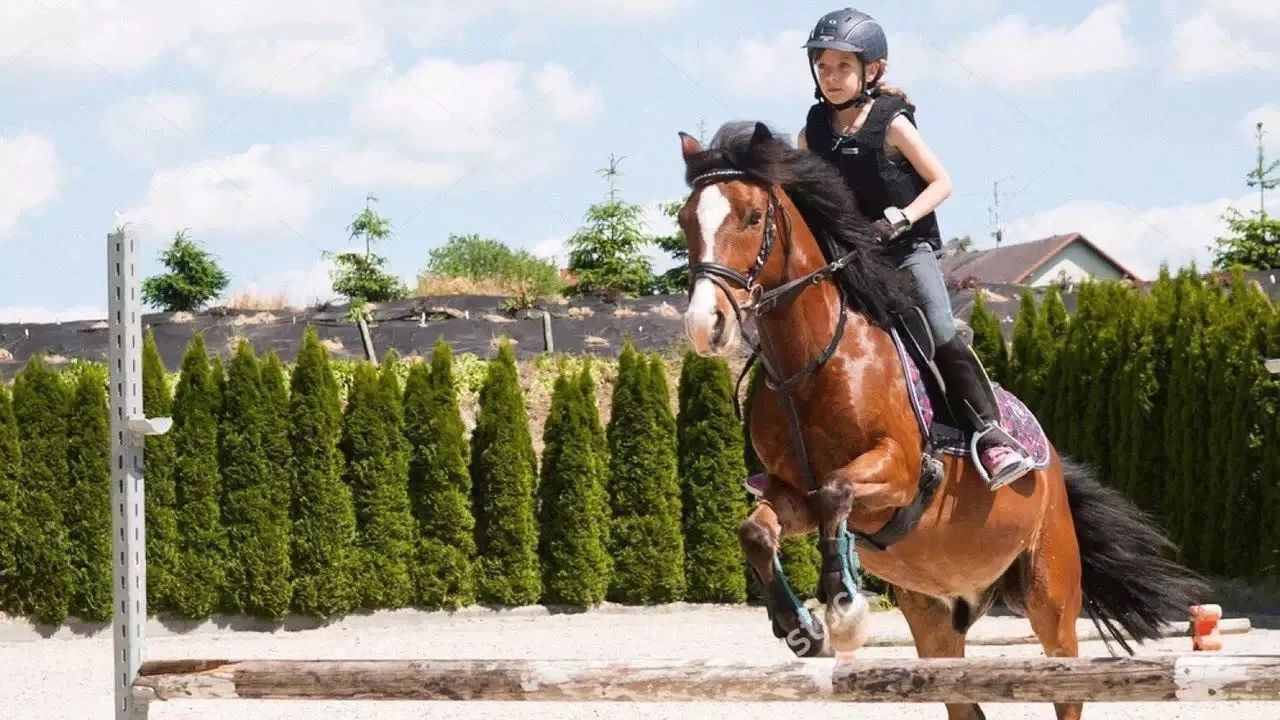 孩子|娃六岁前父母不能太温柔,李玫瑾家长这六“不”,决定孩子成败