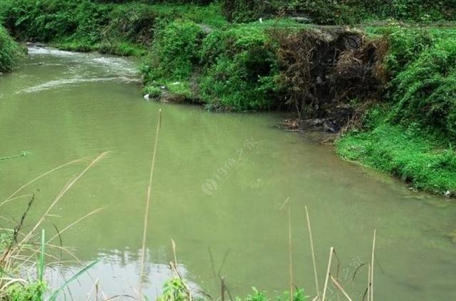 风向|天刮西南风气死老钓翁野钓风向对鱼获影响知多少