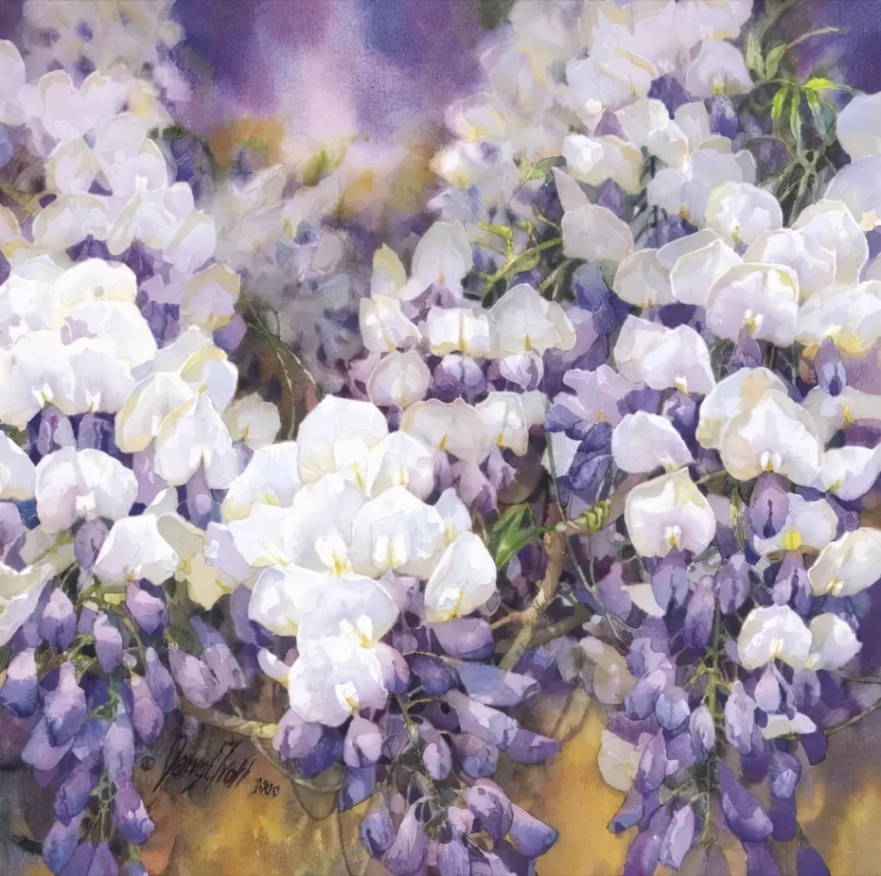 水彩&水彩画欣赏：澳大利亚水彩画家30张水彩花卉，动人