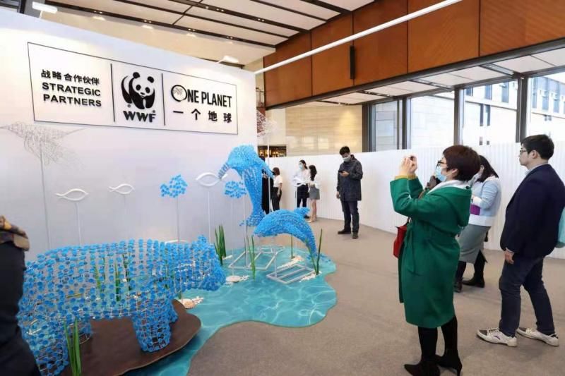  艺术展|“WWF净塑自然”沉浸式体验艺术展开幕