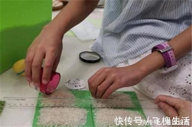 老师|“老师要我数1万粒米”,宝妈陪孩子数米到半夜,质问老师被打脸