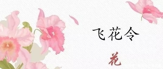 飞花令和红楼梦有什么关系?