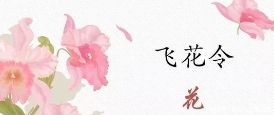 飞花令和红楼梦有什么关系？