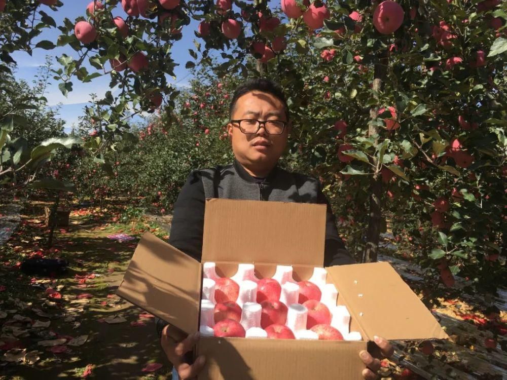 颜值|是记忆中的“苹果味”！颜值与口感并存