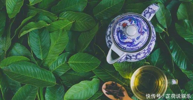 发酵|正确饮茶,你需要注意的事