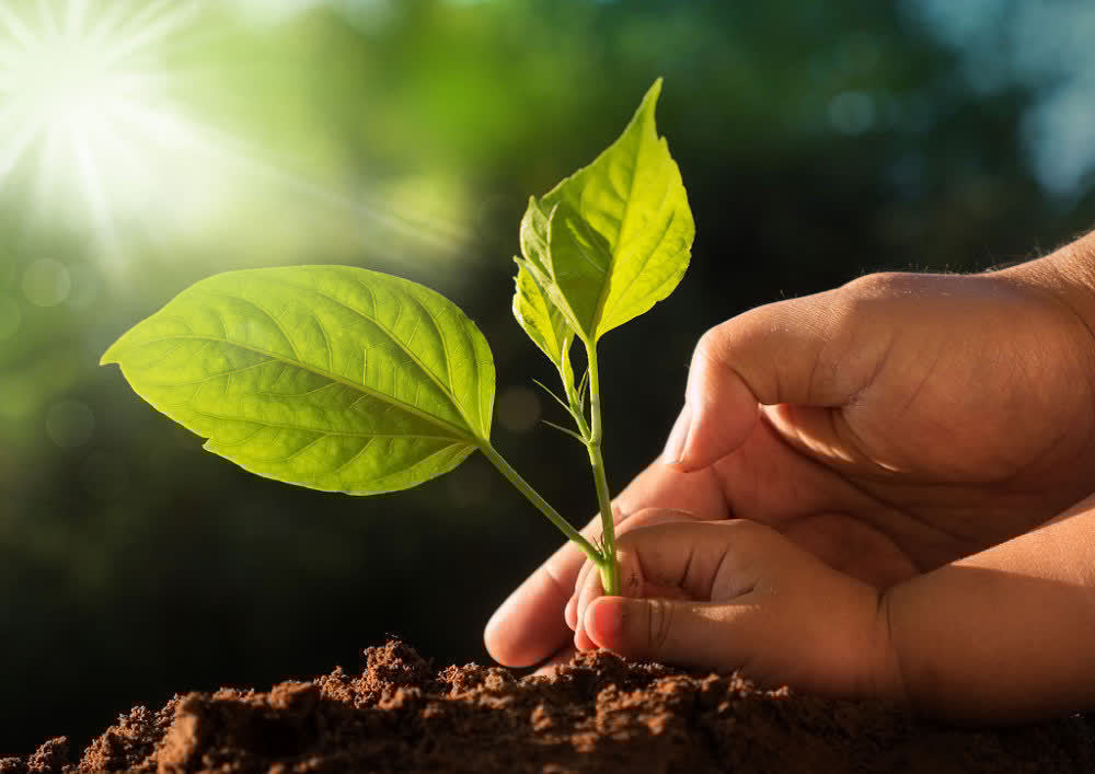 独立宣言#好运来临,必有前兆:一个人有这3个特征,往往是好运来临的开端
