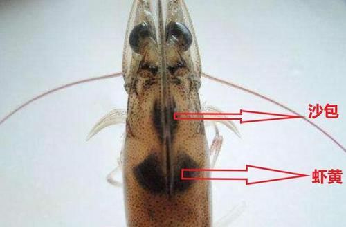  去虾线|虾头里面是“精华”还是“脏东西”？能吃吗？看完涨知识了