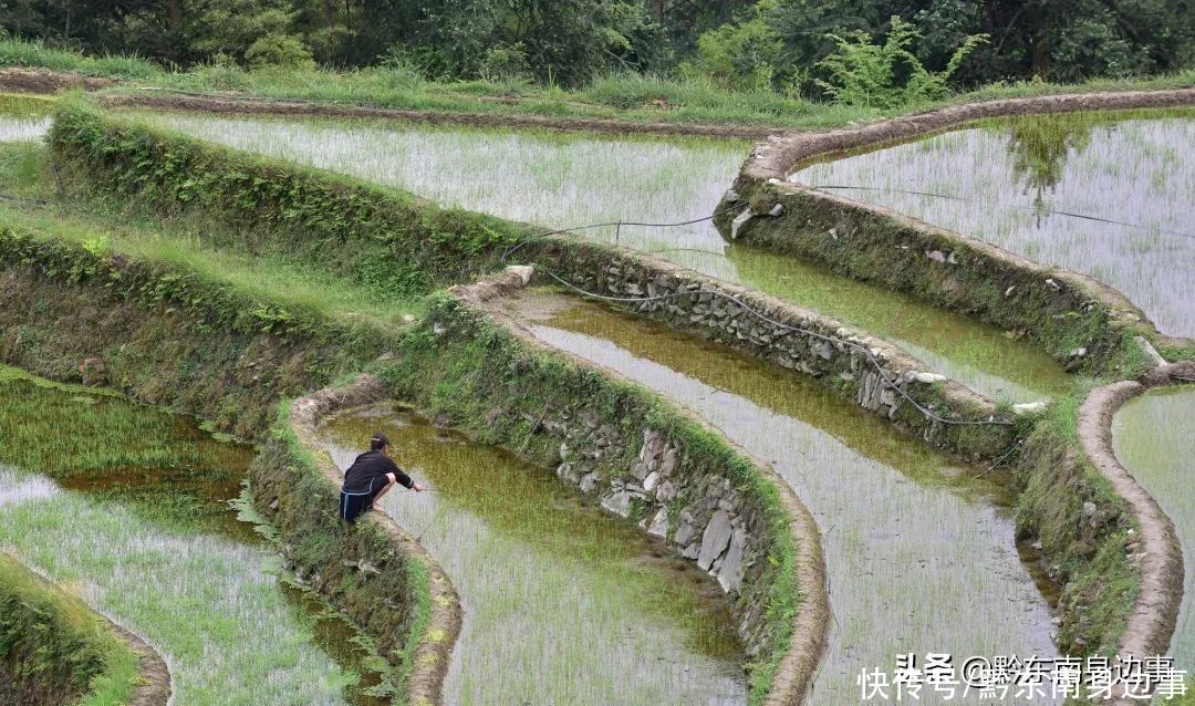 一组图加榜梯田的照片，一年四季都很美，不管几月份来都好看