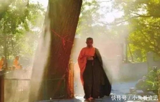 和尚天天逛街吃瓜,最后却修成正果,一首偈颂道明原因