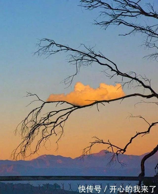 |希望有个人能看透我不是真正的快乐 冷段子1614